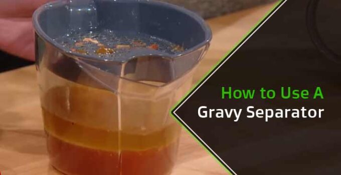 How to Use a Gravy Separator : A Complete Guide