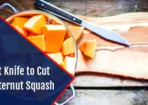 Best Knife to Cut Butternut Squash : Top 5 Revealed 2023