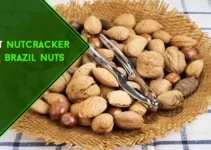 Best Nutcracker for Brazil Nuts in 2023 | Top 7 Picks