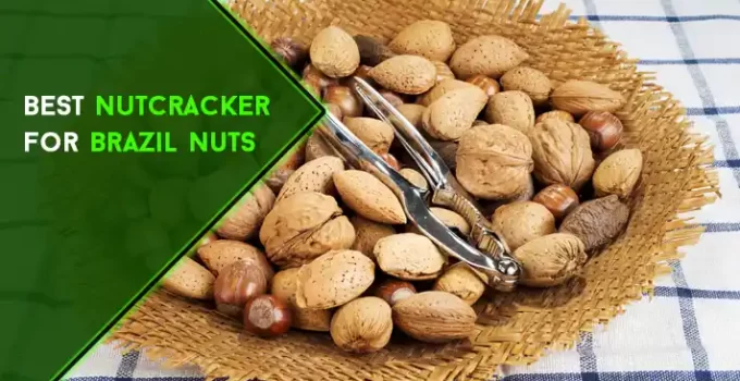 Best Nutcracker for Brazil Nuts in 2023 | Top 7 Picks