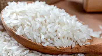 Understanding the Properties of Rice